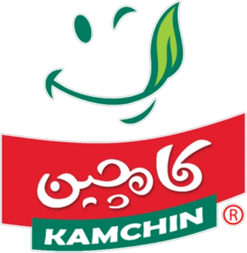 Kamchin
